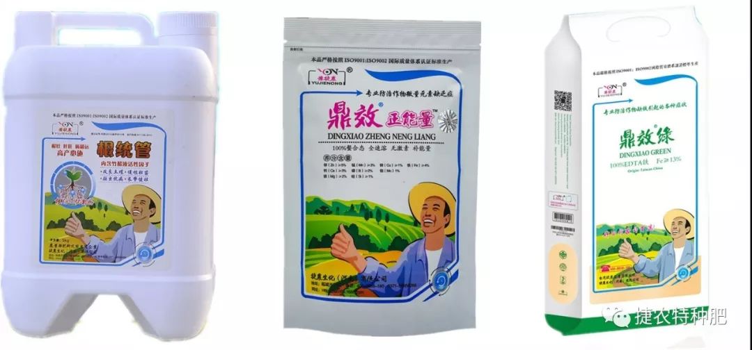 根统管水溶肥,水溶肥效果,柑橘根部肥