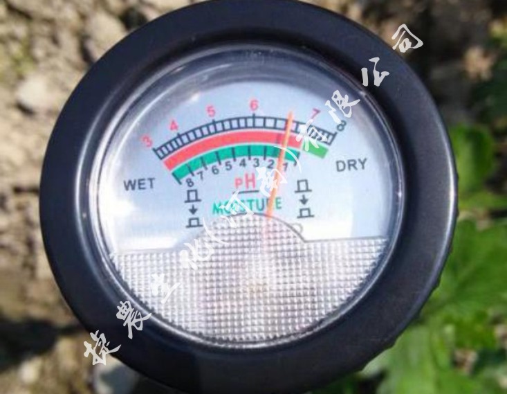 根统管水溶肥,水溶肥效果,花卉肥料 
