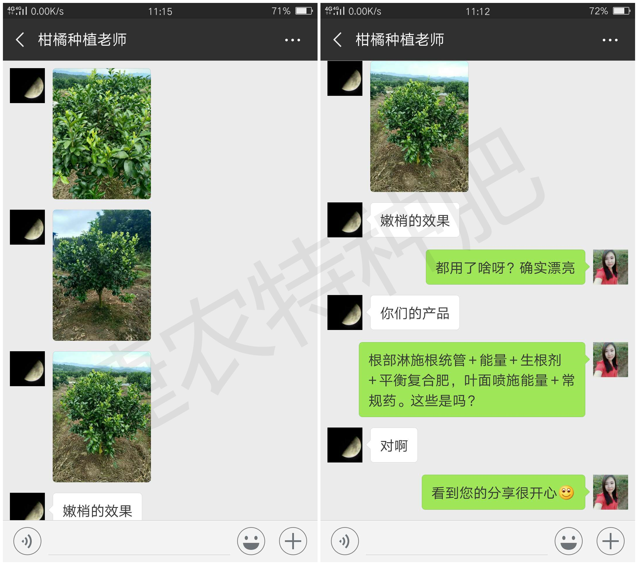柑橘专用水溶肥,根统管水溶肥,鼎效能量水溶肥