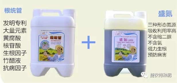 根统管水溶肥,水溶肥效果 ,柑橘根肥