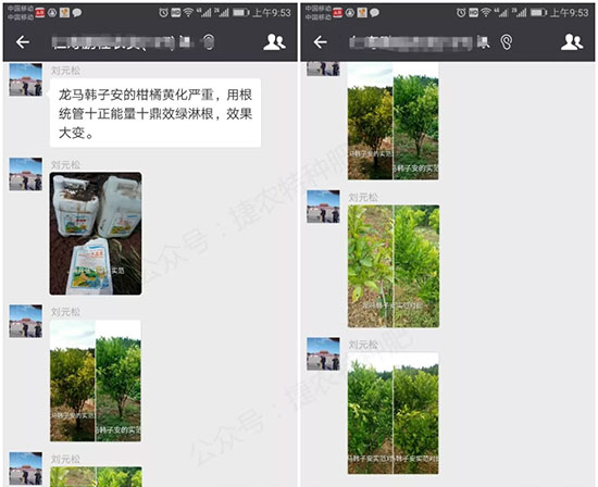 根统管水溶肥,水溶肥效果,柑橘根部肥
