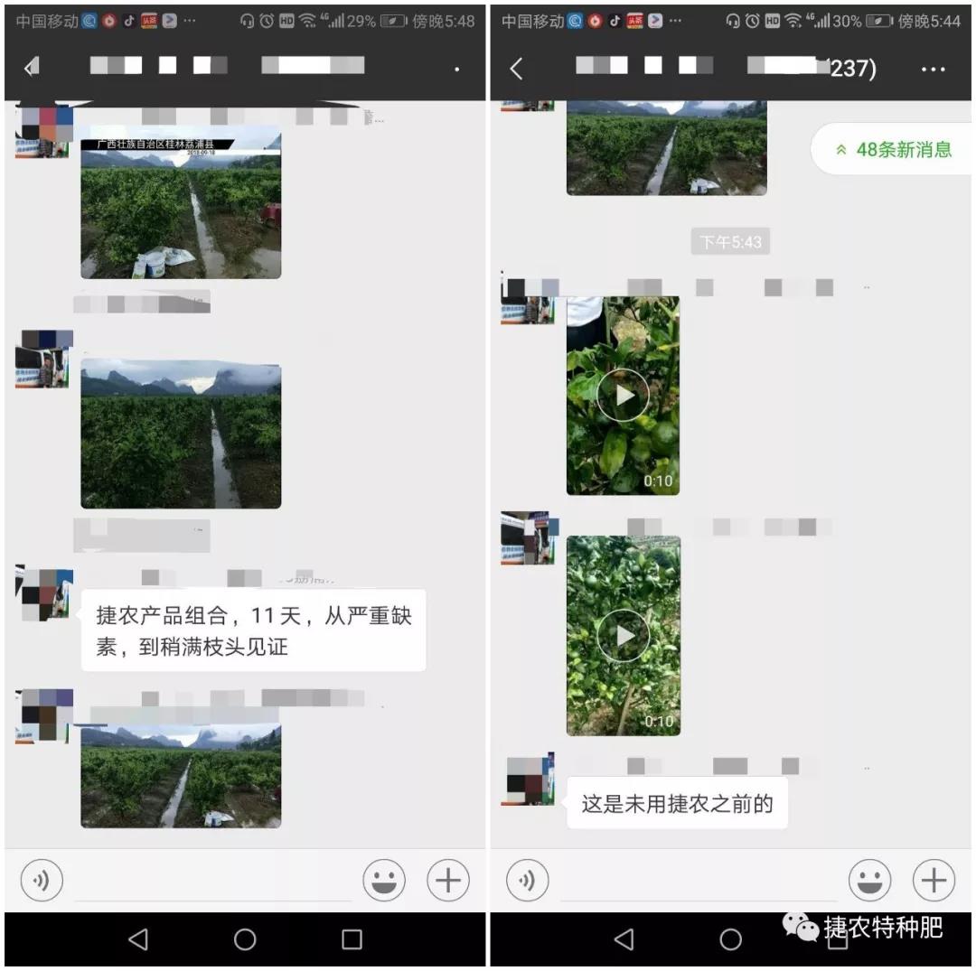 柑橘水溶肥,根统管水溶肥,鼎效能量水溶肥