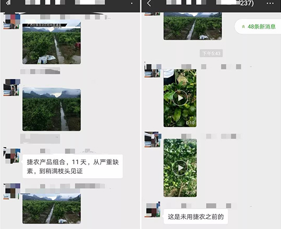 柑橘叶面肥,柑橘水溶肥,柑橘用肥