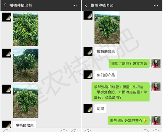 柑橘叶面肥,柑橘水溶肥,柑橘用肥