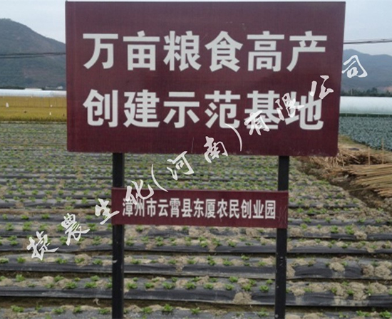 生菜长势好,生菜施肥,生菜肥料
