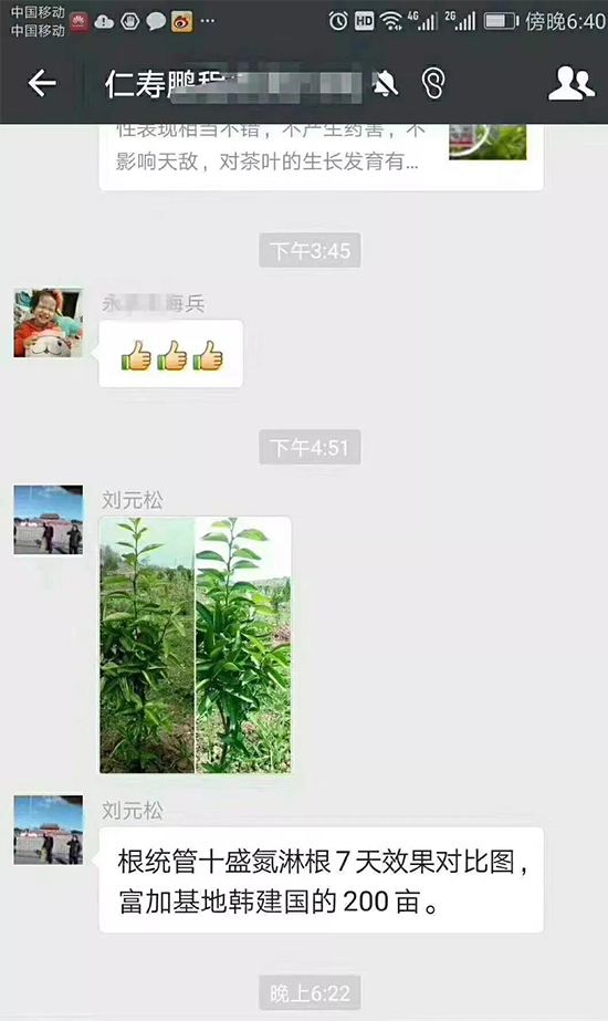 柑橘生根剂,柑橘肥料,柑橘提苗