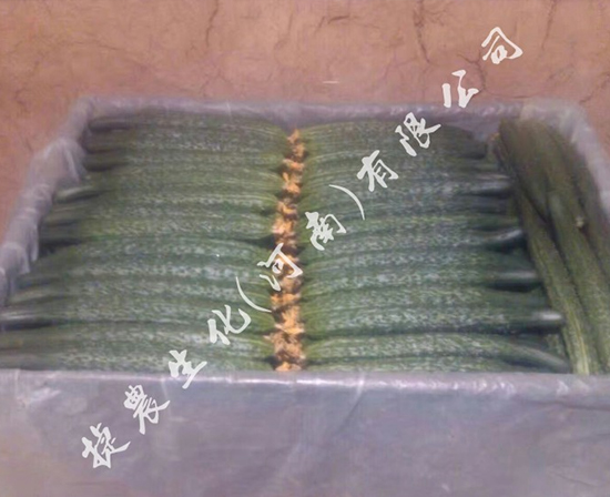 黄瓜用肥,黄瓜叶面肥,黄瓜长势弱