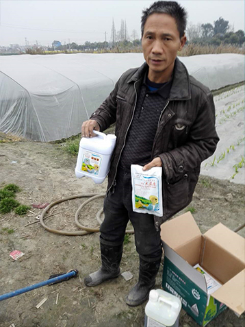 草莓肥料,草莓施肥,草莓长势好