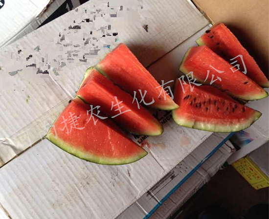 西瓜叶面肥,种植西瓜,西瓜肥料