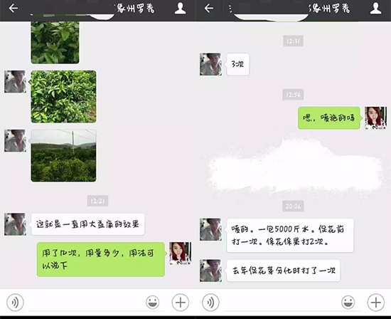 柑橘花芽分化,柑橘用肥,柑橘施肥