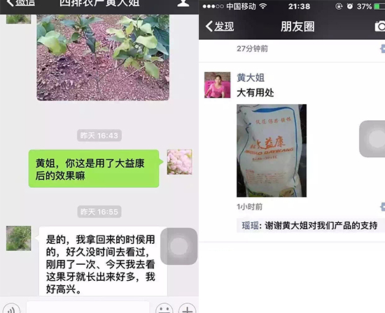 柑橘不结果,柑橘施肥,柑橘种植
