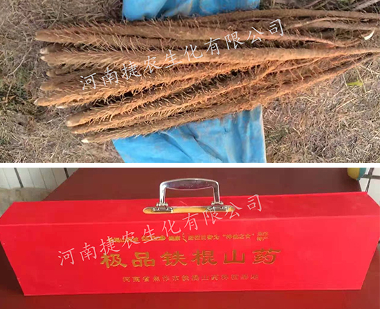 山药种植,山药肥料,山药水溶肥