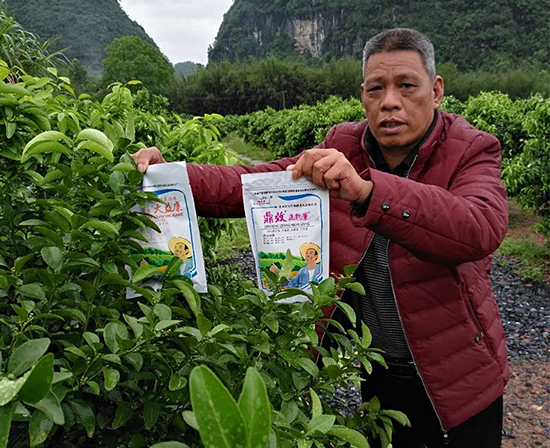 柑橘保果,柑橘肥料,柑橘叶面肥